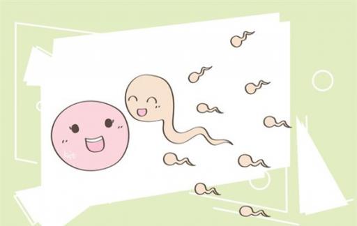 怀孕时这些原因 胎儿容易偏向一侧 你了解胎动吗