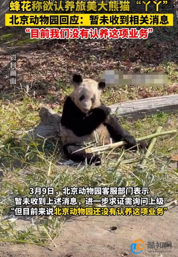 丫丫回到北京动物园 暂不对外展出 需静养一段时间