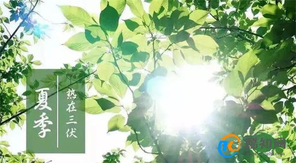 2023哪天是三伏天的第一天 三伏天是不是超级热呢