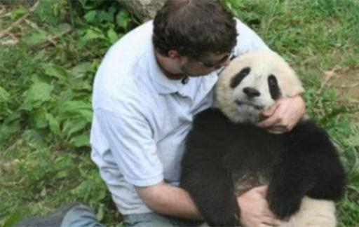 和熊猫对上眼了是什么体验 和大熊猫的近距离对视