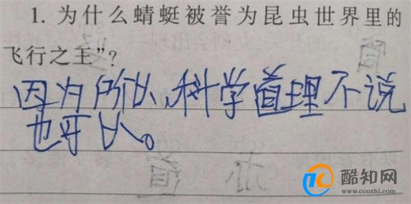 小学生作业到底有多“敷衍”？一本正经胡说八道，老师：逗我呢？