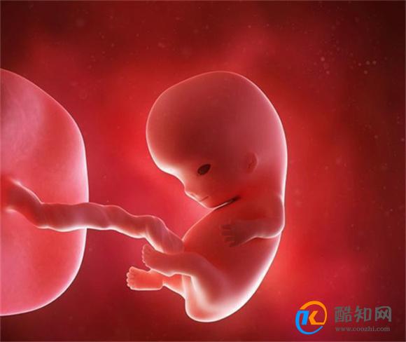 宝宝在肚子里一直动是怎么回事 宝宝一直动个不停是什么原因
