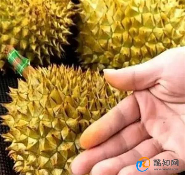 榴莲都爱买黄色的，难道比绿色的好？看看这波染色操作你就明白