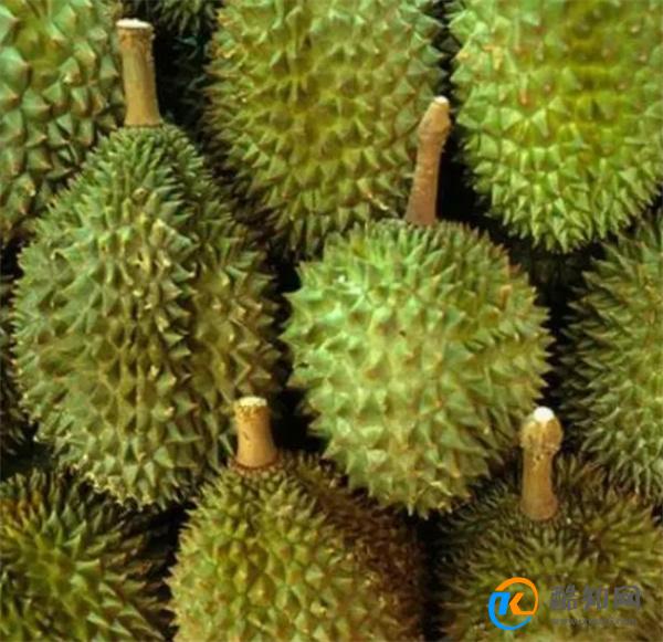 榴莲都爱买黄色的，难道比绿色的好？看看这波染色操作你就明白