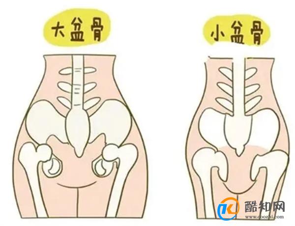 生娃产程为啥有人快有人慢？具备这些特征的产妇，生娃一般少遭罪