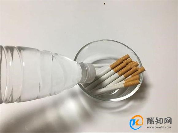一把花椒丢花盆里 不管养啥花 效果真是厉害了 学到就是赚到