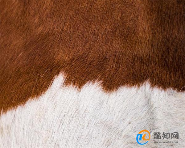 别总穿同色系了 试试更高级时髦的色彩搭配 大龄女性很适合