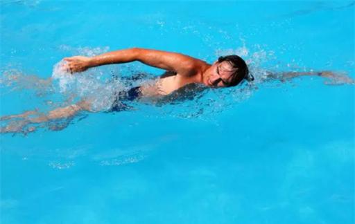 自由泳的基本动作有哪些