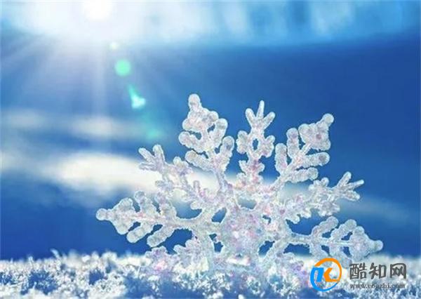 降雪能冻死新型冠状病毒吗