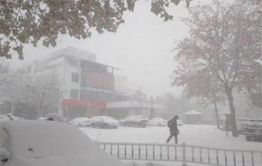 为何河南山东多地频现雷打雪 此现象异常吗