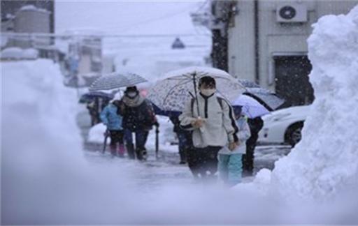 日本遭遇今冬最猛烈寒潮 遭遇今冬最猛烈寒潮是哪一年