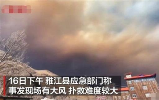 雅江山火扑救难度较大 如何预防森林火灾的发生