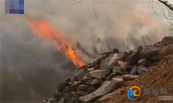 雅江山火扑救难度较大 如何预防森林火灾的发生 