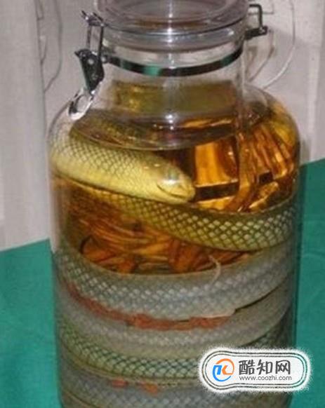 毒蛇泡酒一般泡多久蛇才会死优质