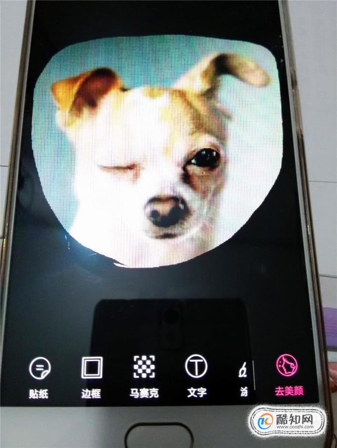 手机拍屏幕表情包图片