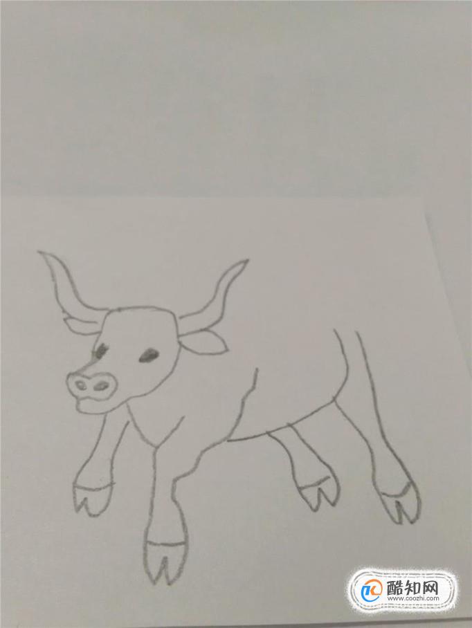 公牛简笔画步骤图片