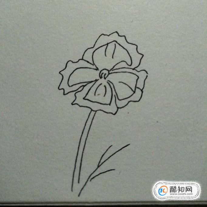 苔花怎么画简笔画图片