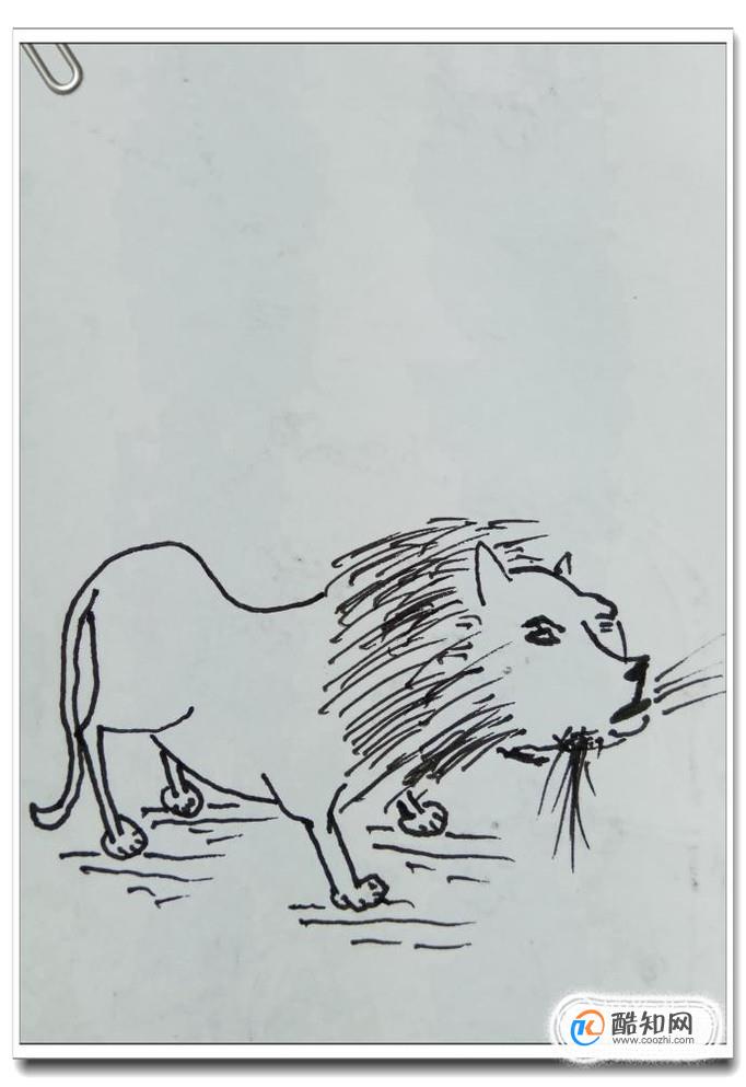 丁立梅奔跑的小狮子图片
