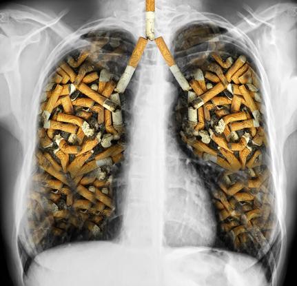 戒烟多久肺部恢复正常图片