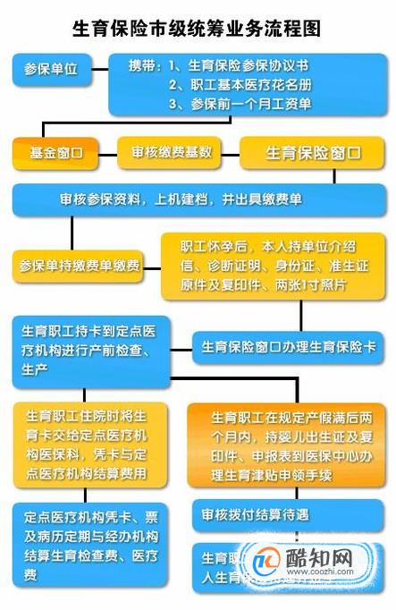 生育险怎么报销图片