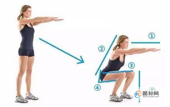 锻炼股四头肌正确方法图片,练股四头肌经典动作优质