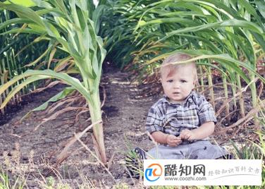 如何借鉴古诗词,起雅而不俗的男孩名字