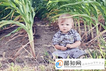 男宝名字大全2019洋气
