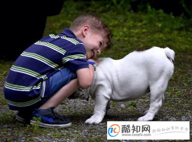 男宝宝诗经取名大全