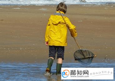 亥时出生的男孩取名