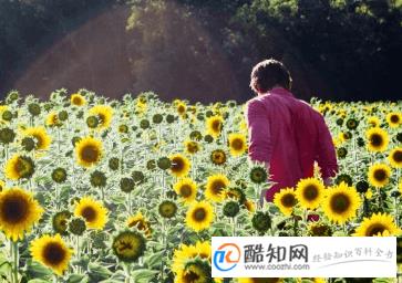 给男孩取名豪爽大气