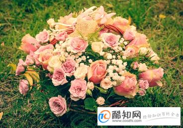 吃鸡女生游戏名字英文