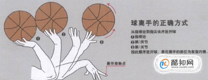 篮球规则翻腕图解图片