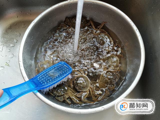 最后,我们再把清洗好的螃蟹放在清水中浸泡十来分钟,这样螃蟹就算清洗