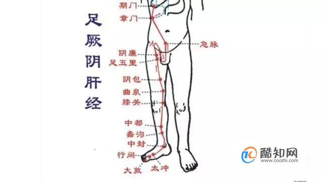 拍打肝经的正确方法图片