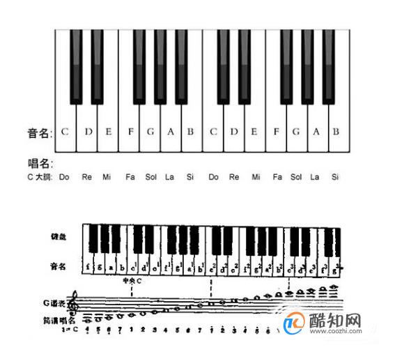 如何看懂钢琴谱数字谱图片