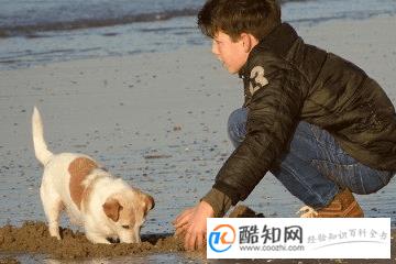 好听的木字旁宝宝名字，宝宝起名