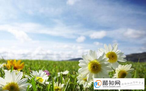 五行起名常用字有哪些