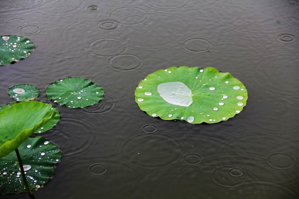 天气预报小雨的降雨量是多少优质