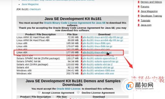 Linux系统中如何安装JDK
