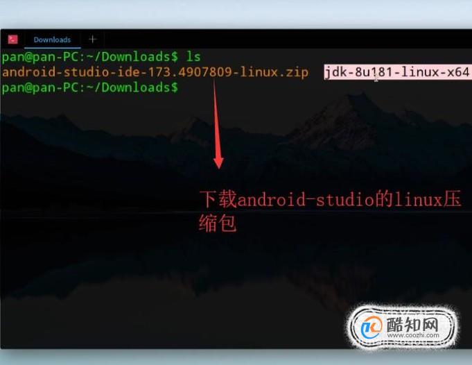 如何在Linux系统下安装Android Studio
