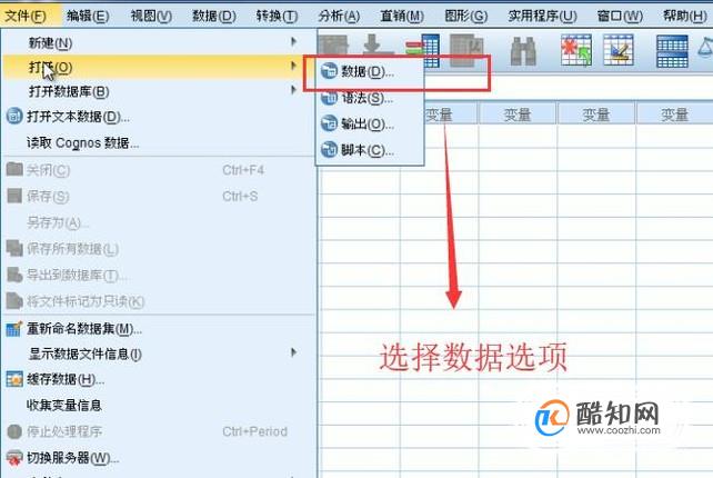 如何在SPSS中对个案等级排序