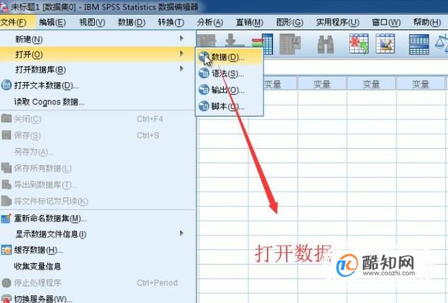 如何在SPSS中进行卡方校验