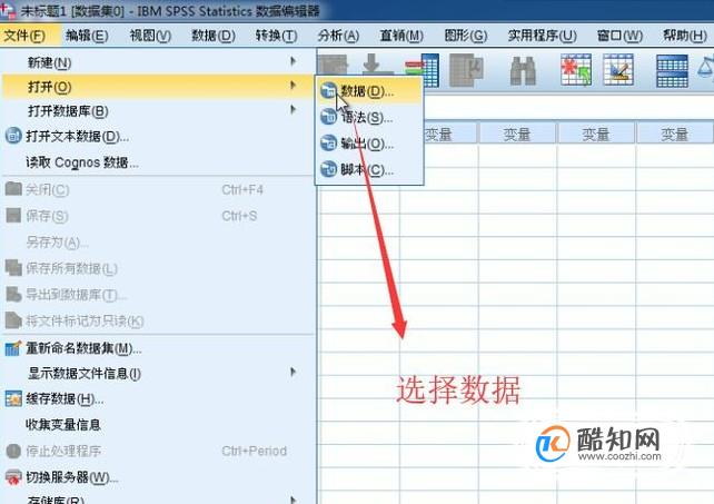 如何在SPSS软件中绘制饼图