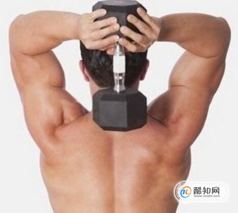 肱三头肌长头怎么练，肱三头肌长头锻炼注意事项