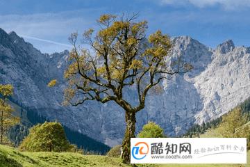 时尚的窗帘布艺店名