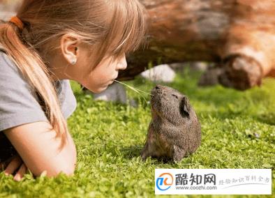 2020年鼠宝宝几月出生最好