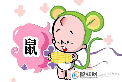 鼠年宝宝几月出生好